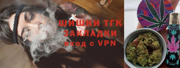 прущие грибы Алексеевка