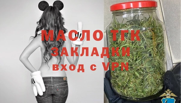 прущий лед Вяземский