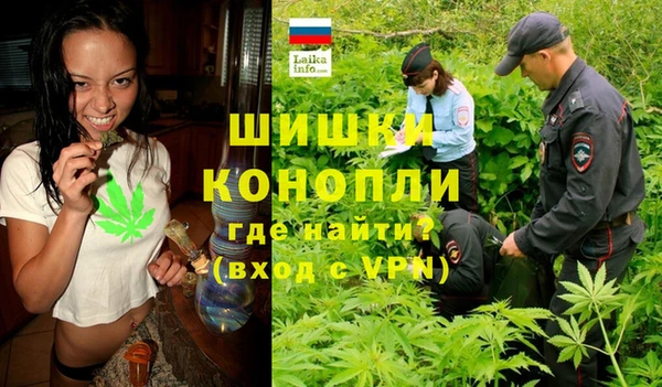 эйфоретик Арсеньев