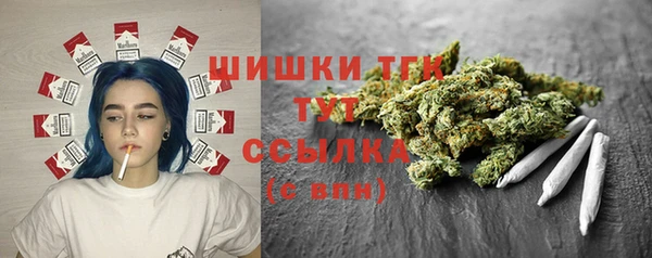 эйфоретик Арсеньев