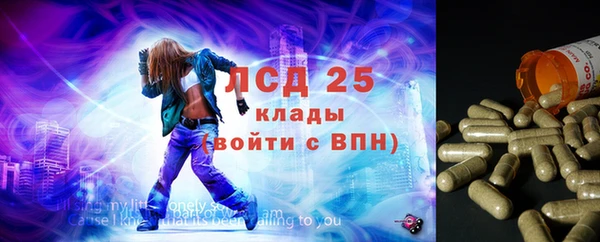 индика Киреевск