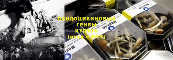 эйфоретик Арсеньев