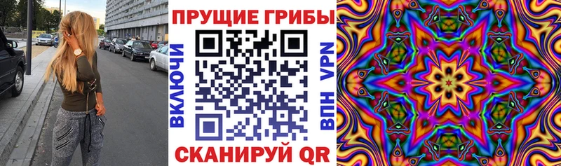Псилоцибиновые грибы Psilocybe  где найти наркотики  Киселёвск 