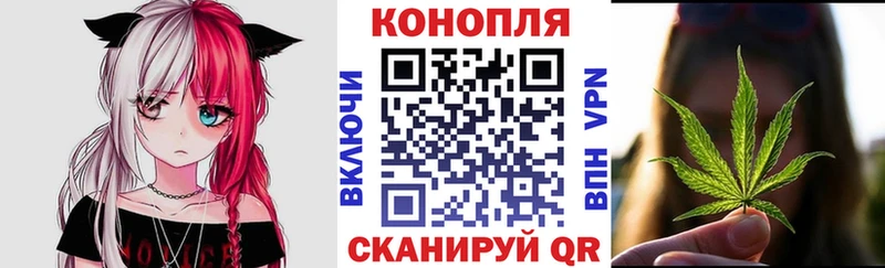 Шишки марихуана семена  ссылка на мегу зеркало  Киселёвск 